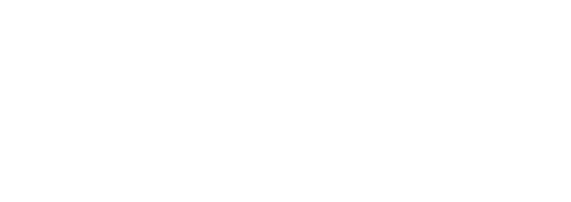 Logo Sky Transylvania alb